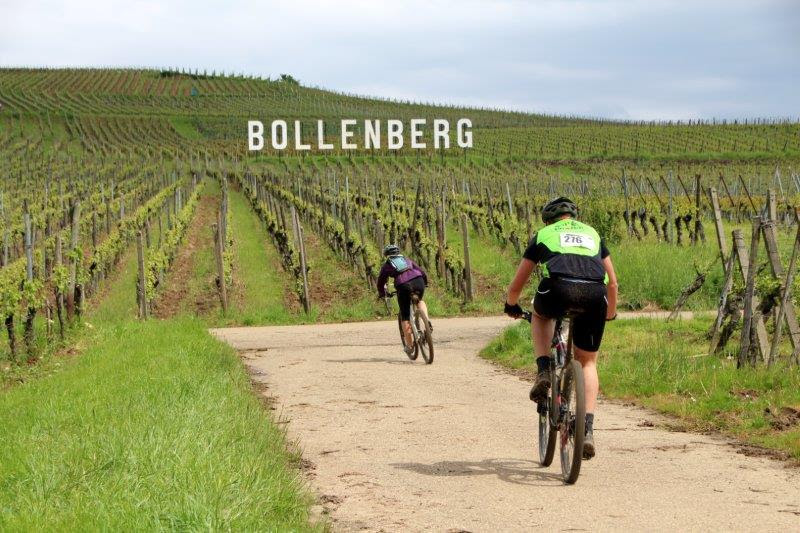 Mellemdistancen gik i vinmarkerne rundt om Bollenberg